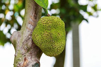 《黑道圣徒：重启版》捏人小游戏将于6月9日免费上线